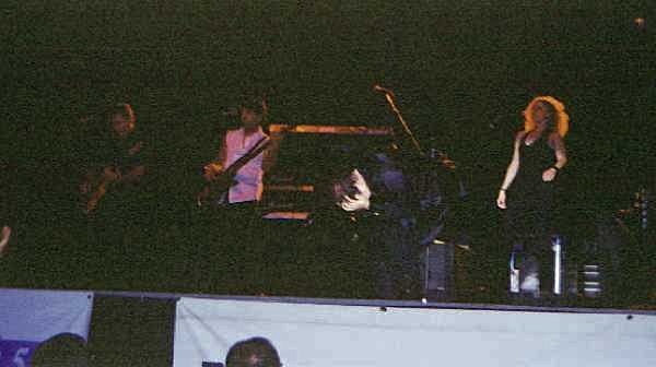 Kasim Sulton at Pine Mountain - photo by Terry and Jules